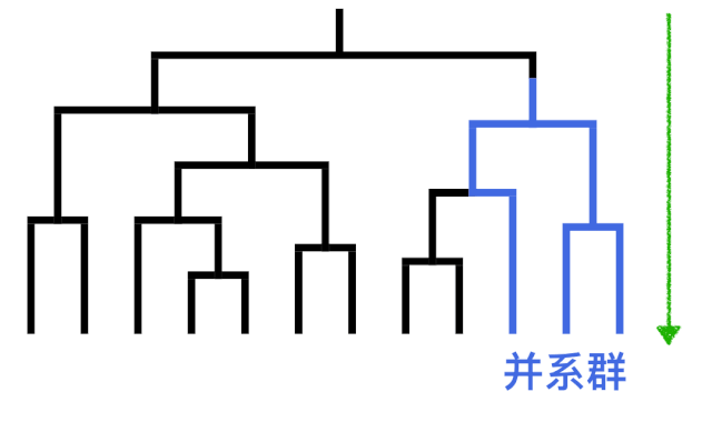 制图 | 卢平共用一个俗名的动物们,常常会是一个并系群.