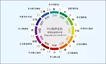 十二时辰对应脏腑图
