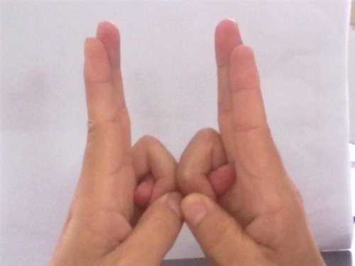 道家手印结法大全