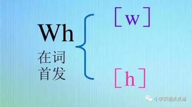 音标课堂wh辅音字母组合位于词首的发音规则深度讲解