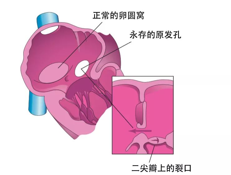 我們的身體也常常給我們開玩笑,留下一點