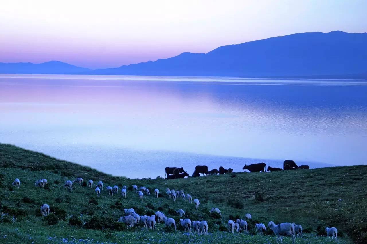 游世界国内668祖国边陲塔城美美如油画游人醉