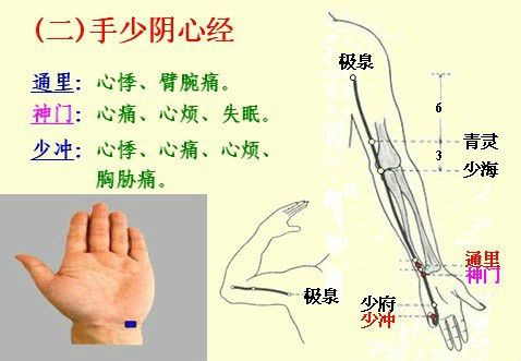 經絡五行圖一起學中醫