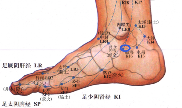 三焦經絡解說