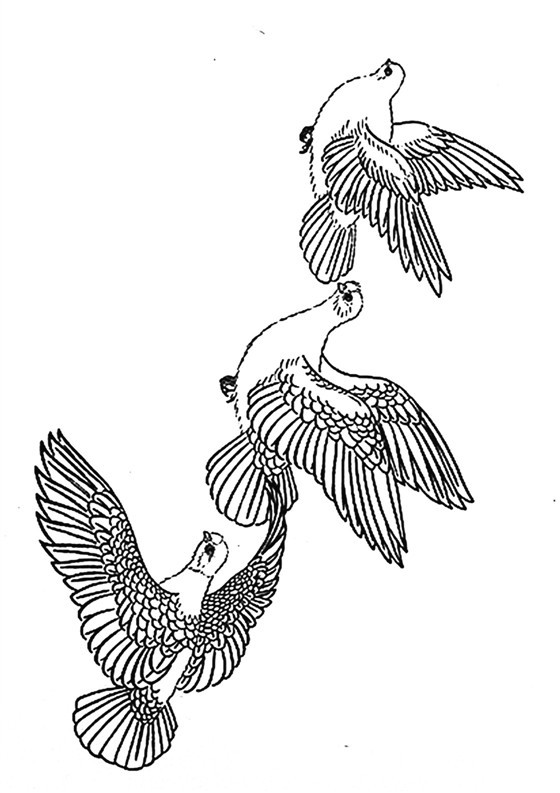 白描花鸟鸽子篇