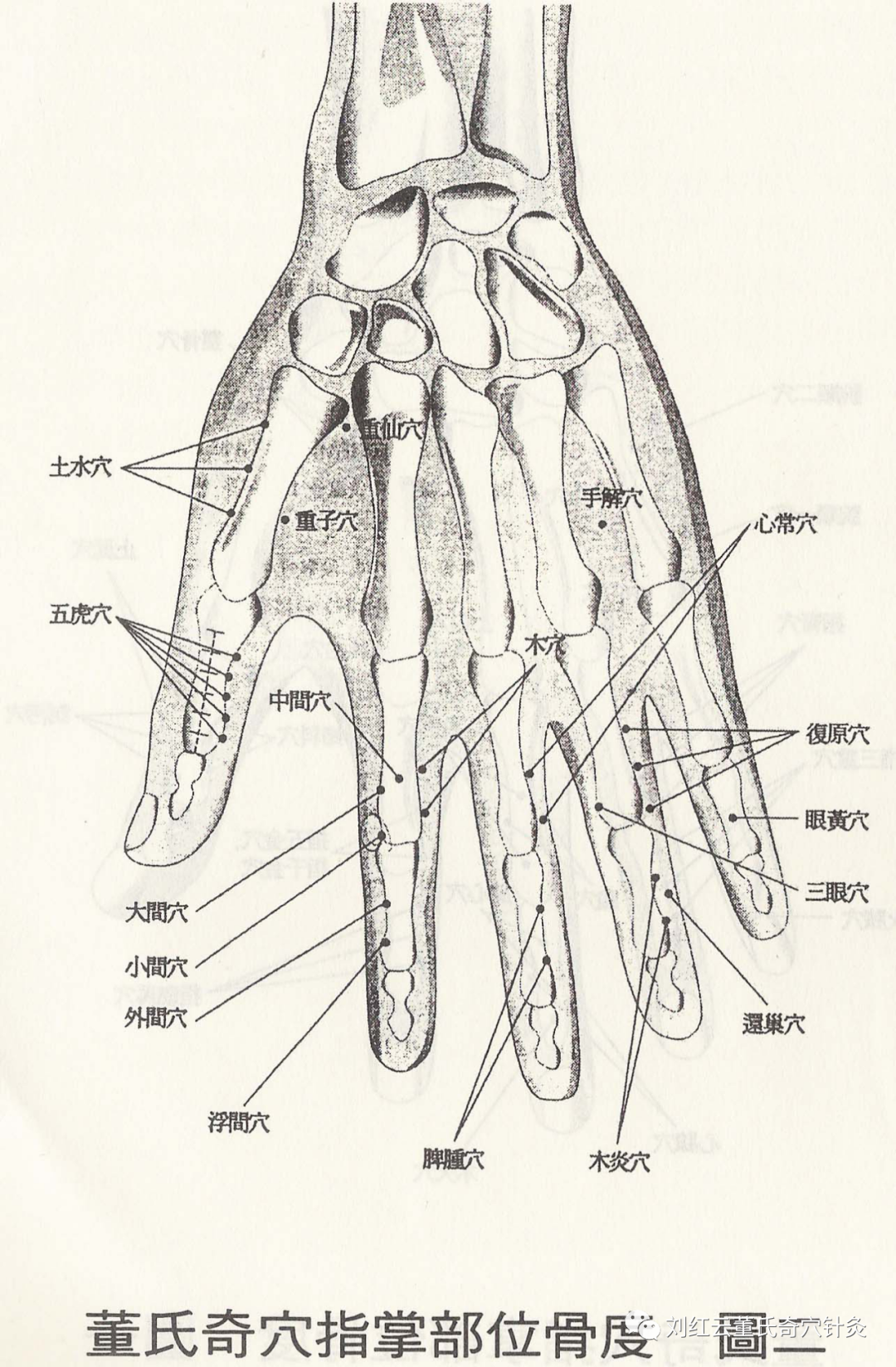 董氏奇穴一一部分指掌穴位详解收藏版带高清大图
