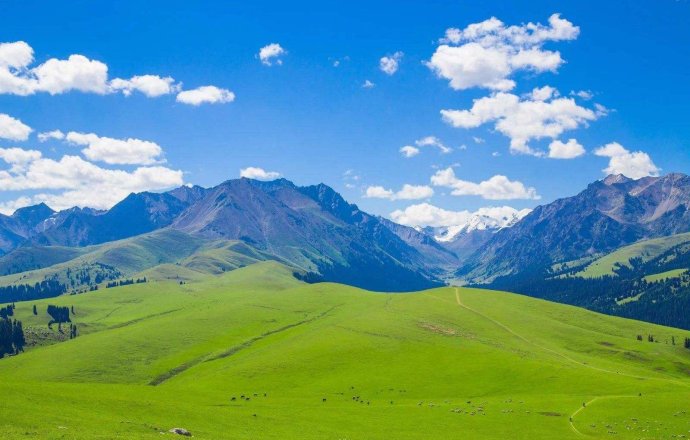 游世界国内99新疆库尔德宁草原