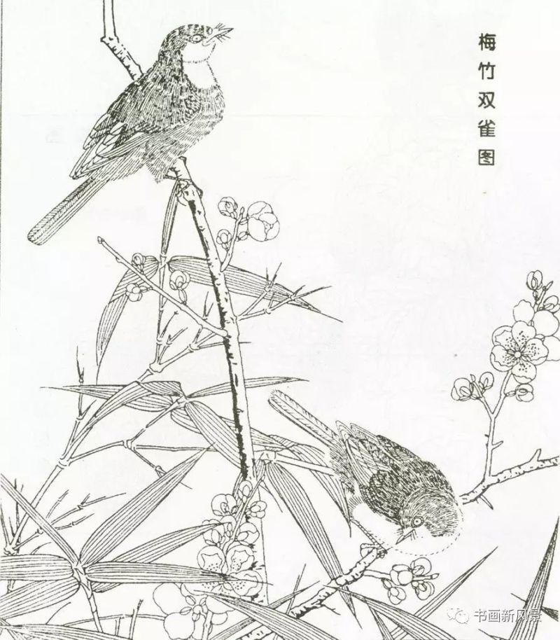 宋代花鸟经典白描画稿