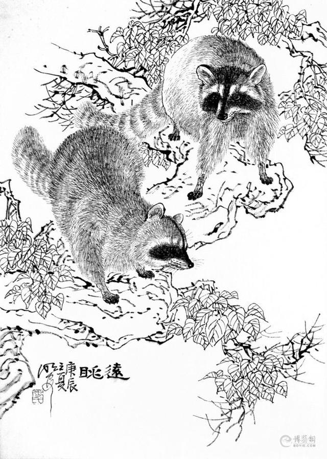 動物白描圖