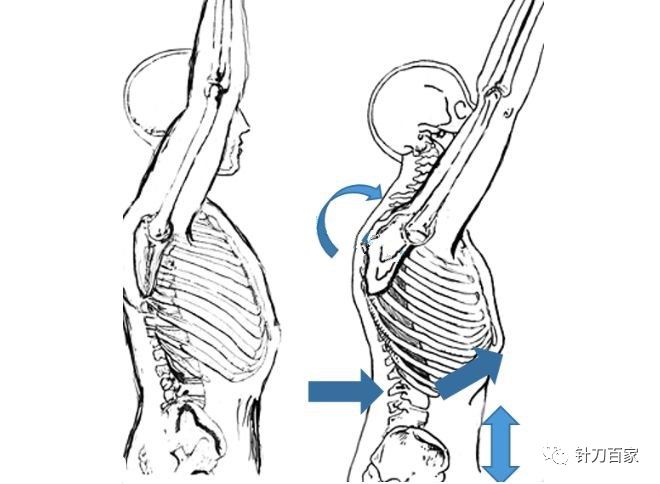 这主要是由于神经系统关系等造成肩胛骨上肌肉无力紧张;当然也有合并