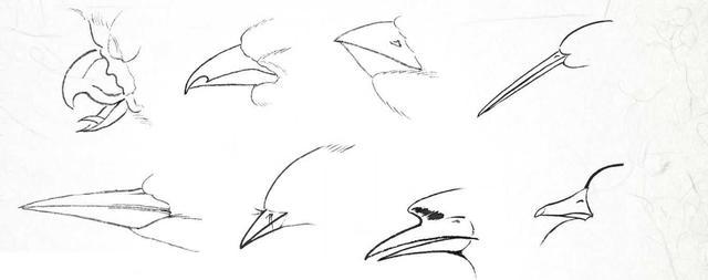 工笔画入门教程分步骤讲解工笔禽鸟头部和羽毛画法快来临摹吧