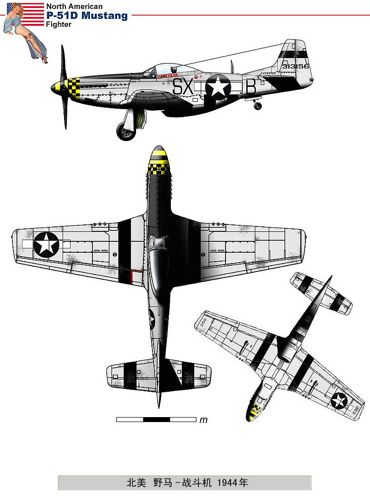 二战美国飞机彩鉴