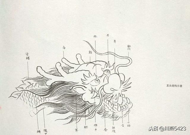 线描中国龙虎虎生威百猫图