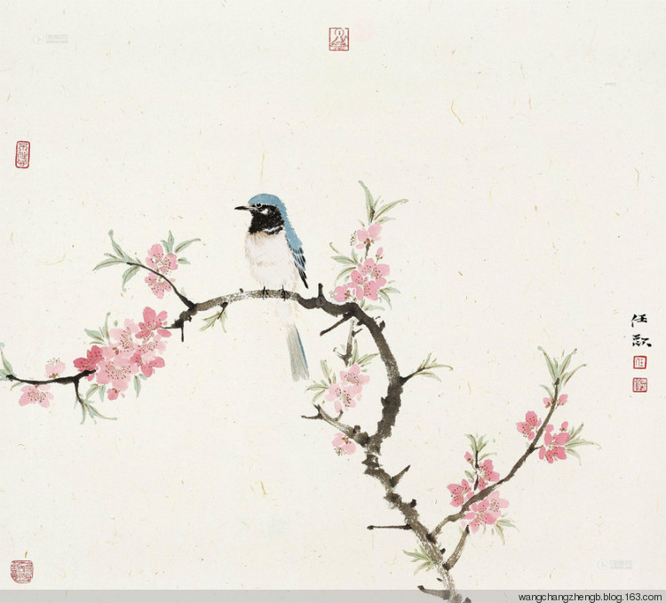 任欢花鸟作品欣赏 - 好网角收藏夹