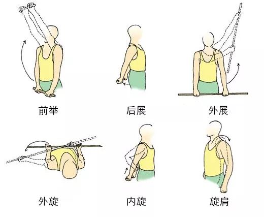肩关节康复训练动作图图片