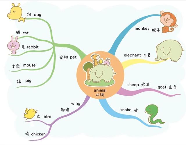 82張全綵思維導圖輕鬆記住1100個單詞太實用了