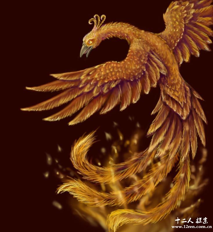 山海经全部异兽图大全附详解图