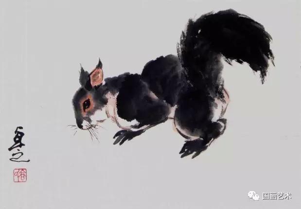 国画写意松鼠画法图文教程 动物画小写意作品欣赏,松鼠简笔画图解