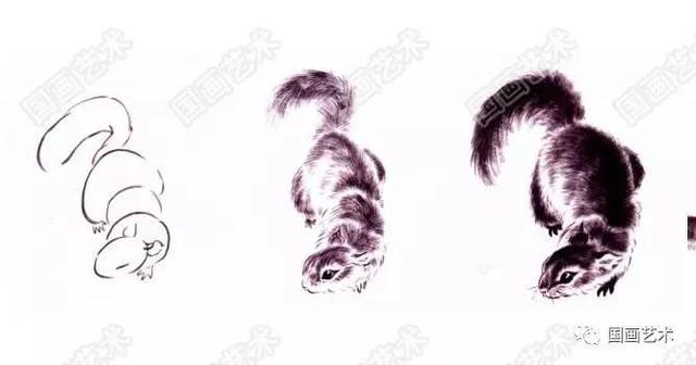 国画写意松鼠画法图文教程 动物画小写意作品欣赏,松鼠简笔画图解