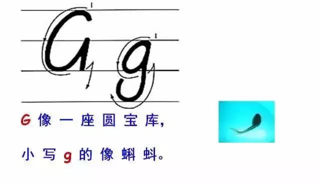 26個英文字母書寫的規格筆順技巧音標英語的18條黃金法則