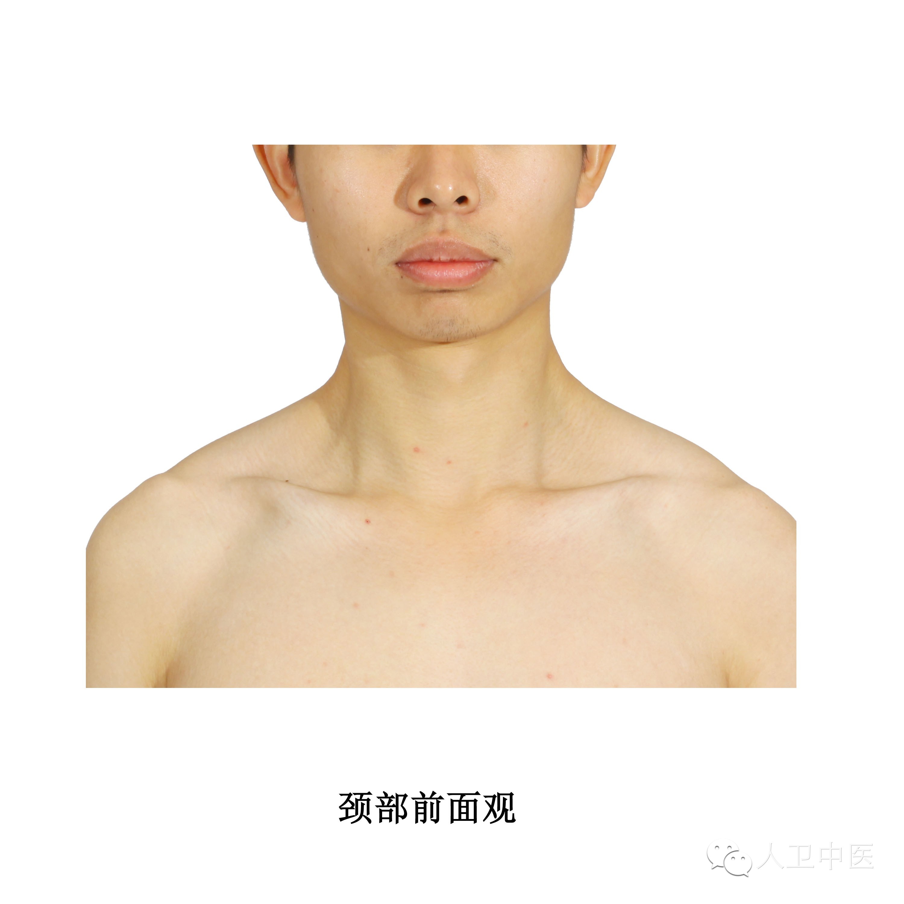 实用人体体表解剖头颈部高清大图版