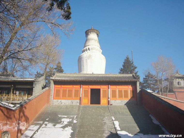 11,山西台怀塔院寺塔(明)10,山西晋城青莲寺塔(明)9,山西代县阿育王塔