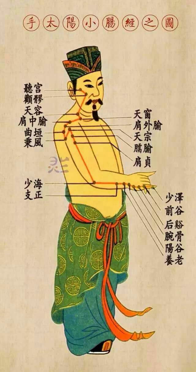 十二经络与穴位走向的故事"深受广大馆友的喜爱,于2016年10月7日进入"