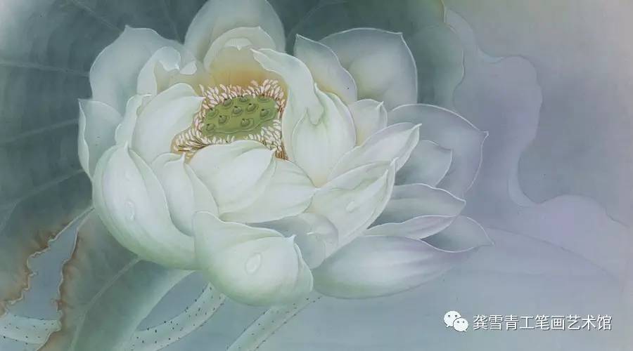 杨冬冬工笔荷花绢画雪玉图文解析