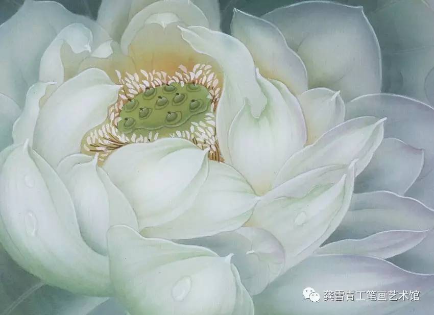 杨冬冬工笔荷花绢画雪玉图文解析