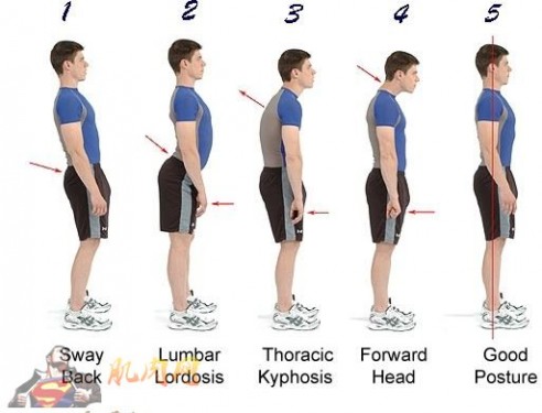 长身高的锻炼方法纠正驼背的锻炼方法让身高看上去更高大
