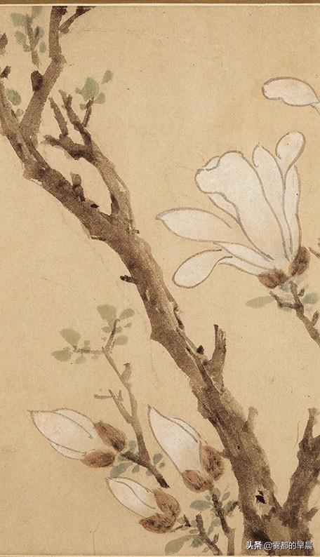 画作部分,如需欣赏书法部分,请参阅小编《文徵明80岁行书:《白玉兰》