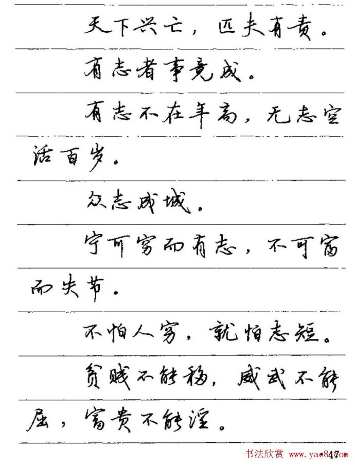 【硬笔字帖】卢中南硬笔行书字帖《谚语名句》